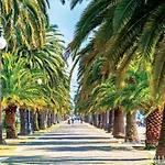 Πανσιόν Mediterraneo